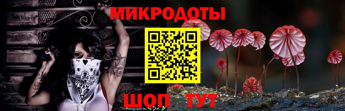 Псилоцибиновые грибы Cubensis  Вход с VPN  Галлюциногенные грибы Cubensis  Электрогорск 